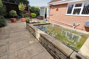 HAZEL MEWS- click for photo gallery